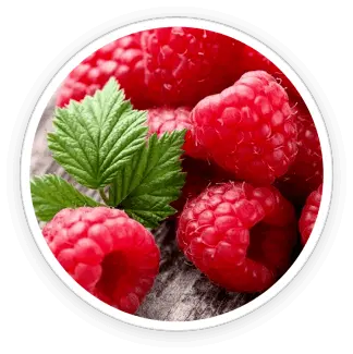 honey-burn-ingredient3